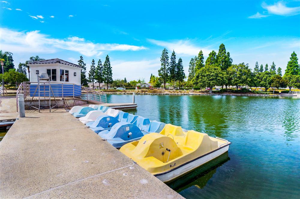Paddle boats on the lake, Eastlake